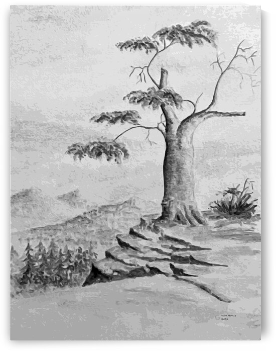 Mountain Top Tree  by ArcheanArt