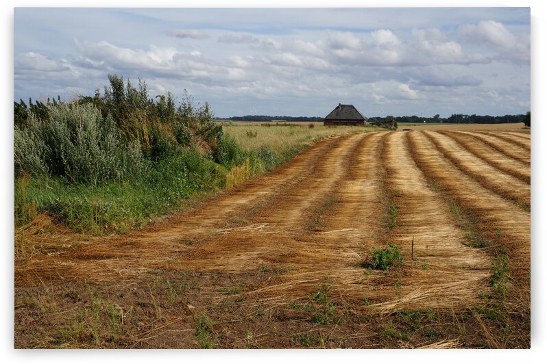 Normandy field by Cedric Doz