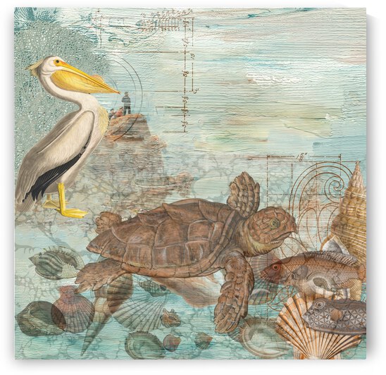 Pelican meet Turtle by Cathleen Klibanoff