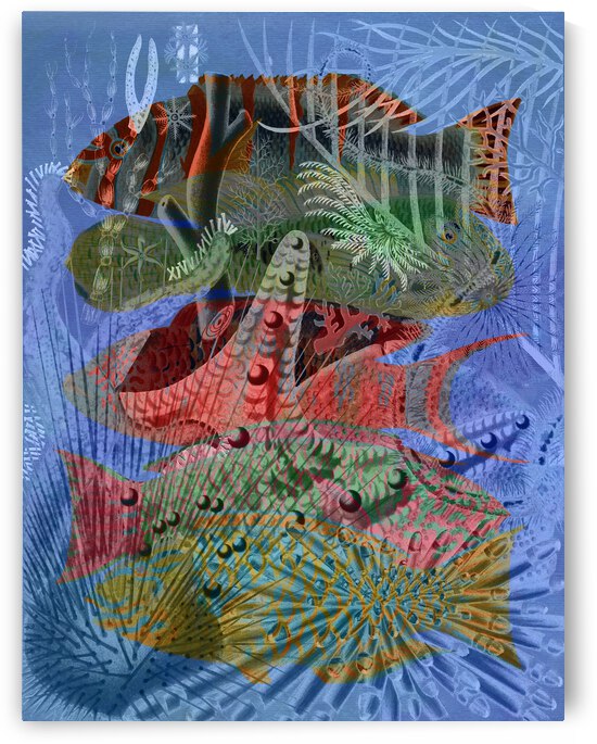 Great Barrier Reef by Cathleen Klibanoff