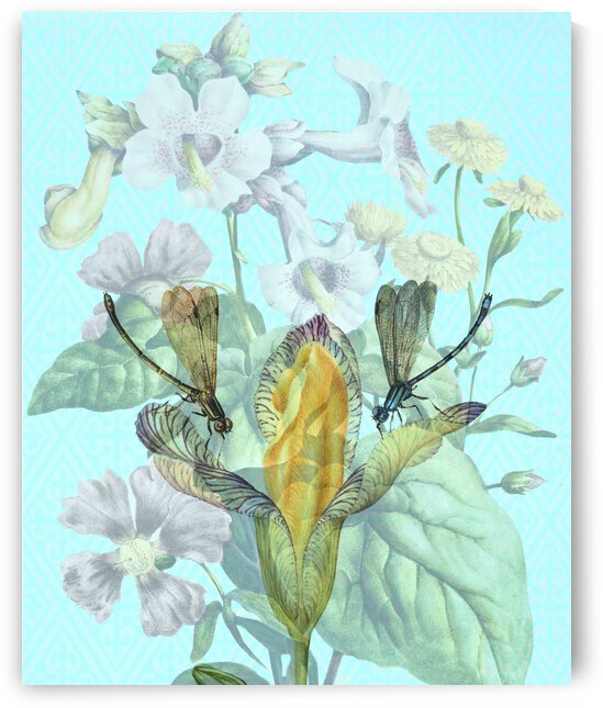 Dragonfly Duet by Cathleen Klibanoff