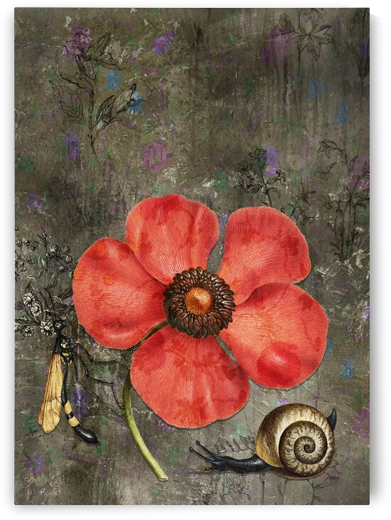 Poppy Snail by Cathleen Klibanoff