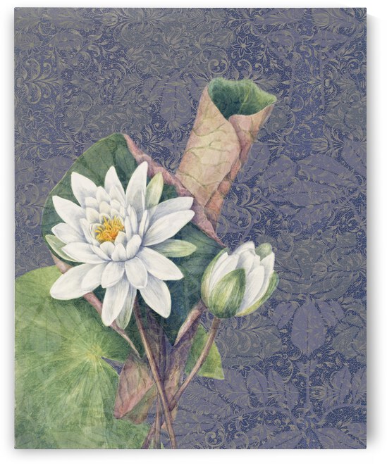 Lotus by Cathleen Klibanoff
