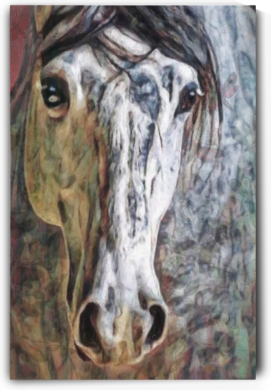 Intimate Horse  by Cathleen Klibanoff
