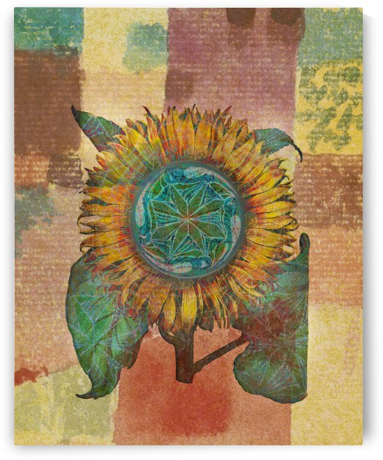 Here Comes the Sun by Cathleen Klibanoff