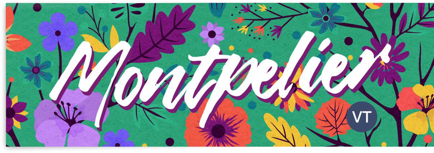 Vermont   Montpelier   Mike by Ava Stochinsky