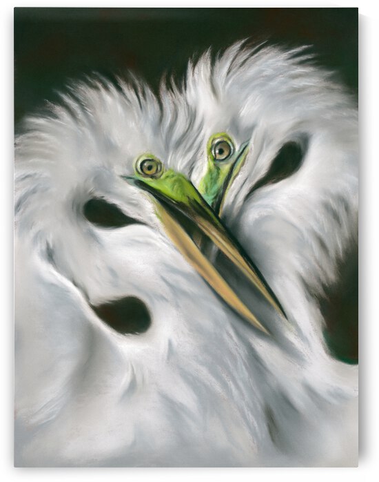 Great Egrets in Love by MM Anderson