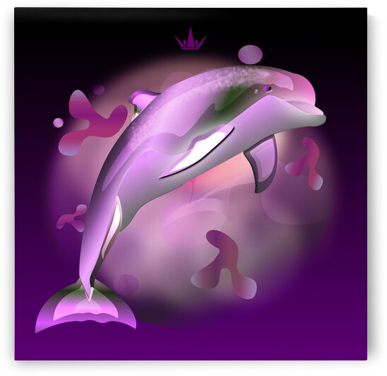 DripDrop Dolphin by Alan Carmichael