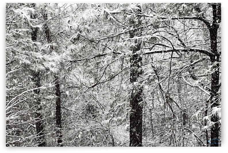 Fresh Snow by ArcheanArt