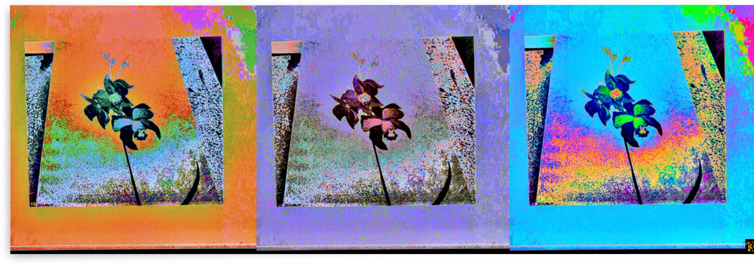 3 Orchids by desetoiles10