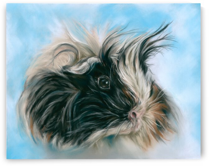 ‘Guinea Pig with Wild Hair’  by MM Anderson