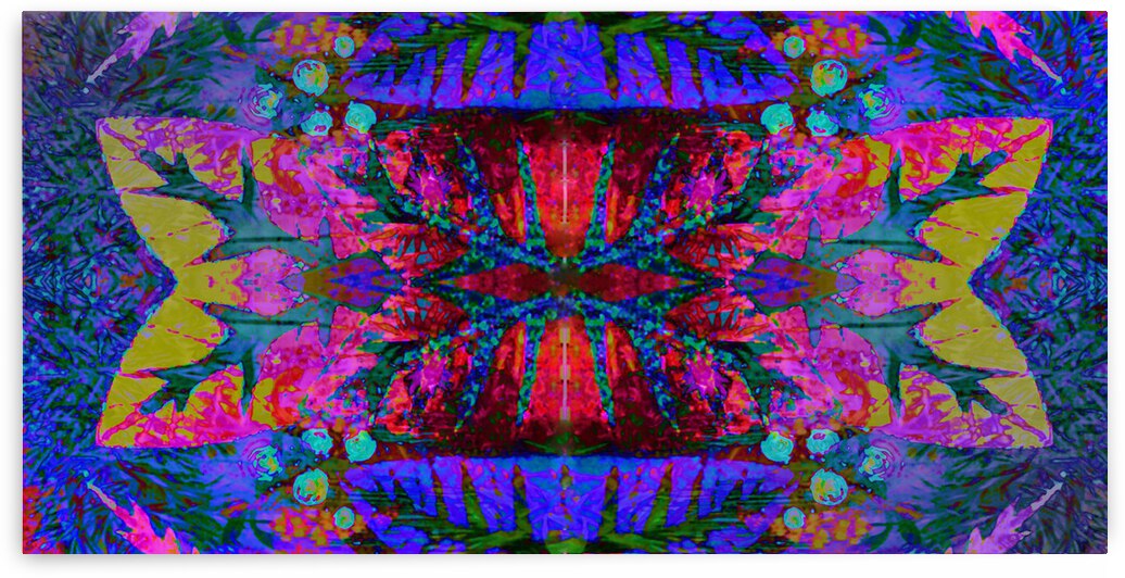 NATURE OF THINGS  by desetoiles10