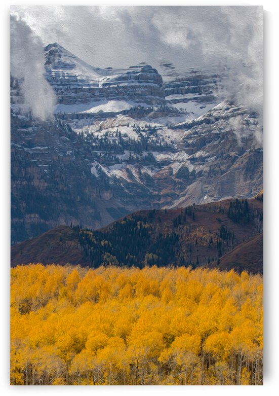 7I2A6780 by Stephen Taylor