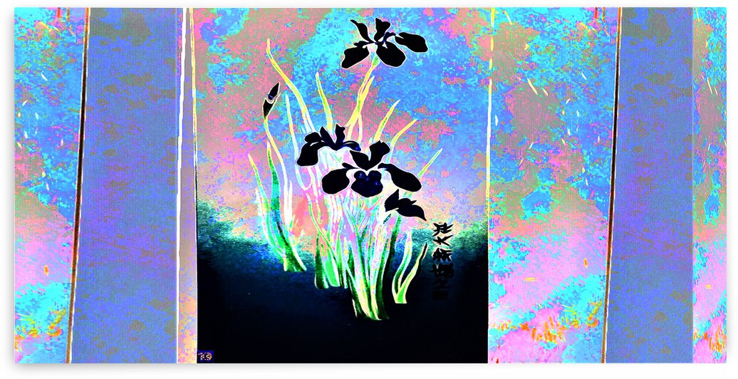 BLACK IRIS  by desetoiles10