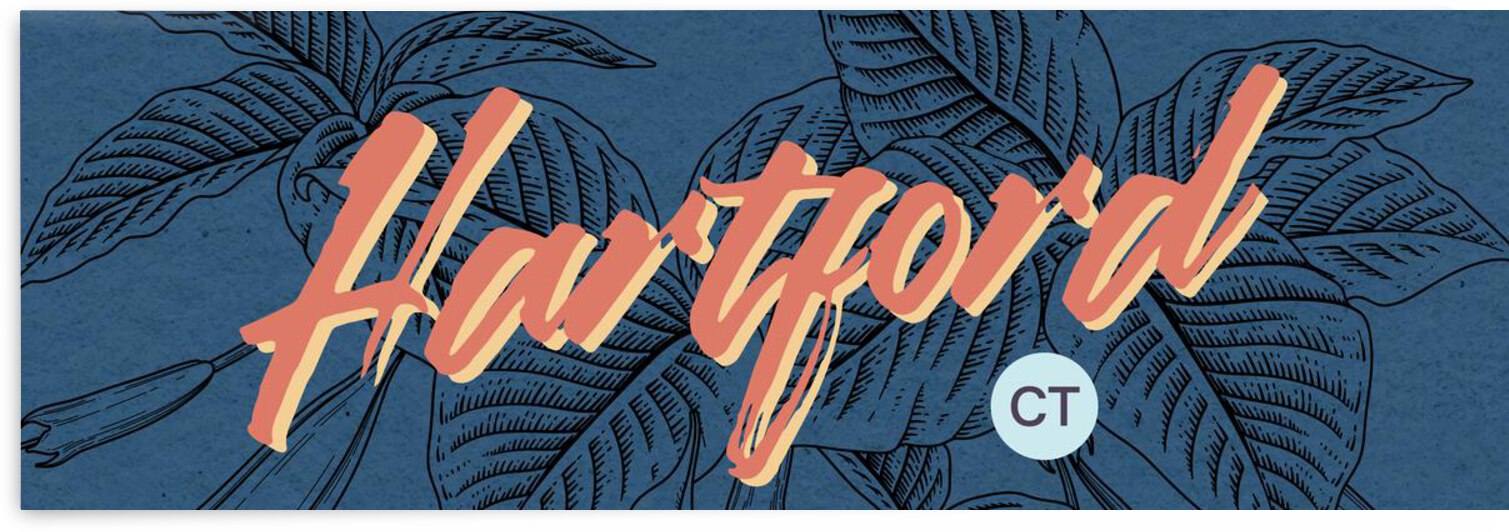 Connecticut   Hartford   Oscar  3  by Ava Stochinsky