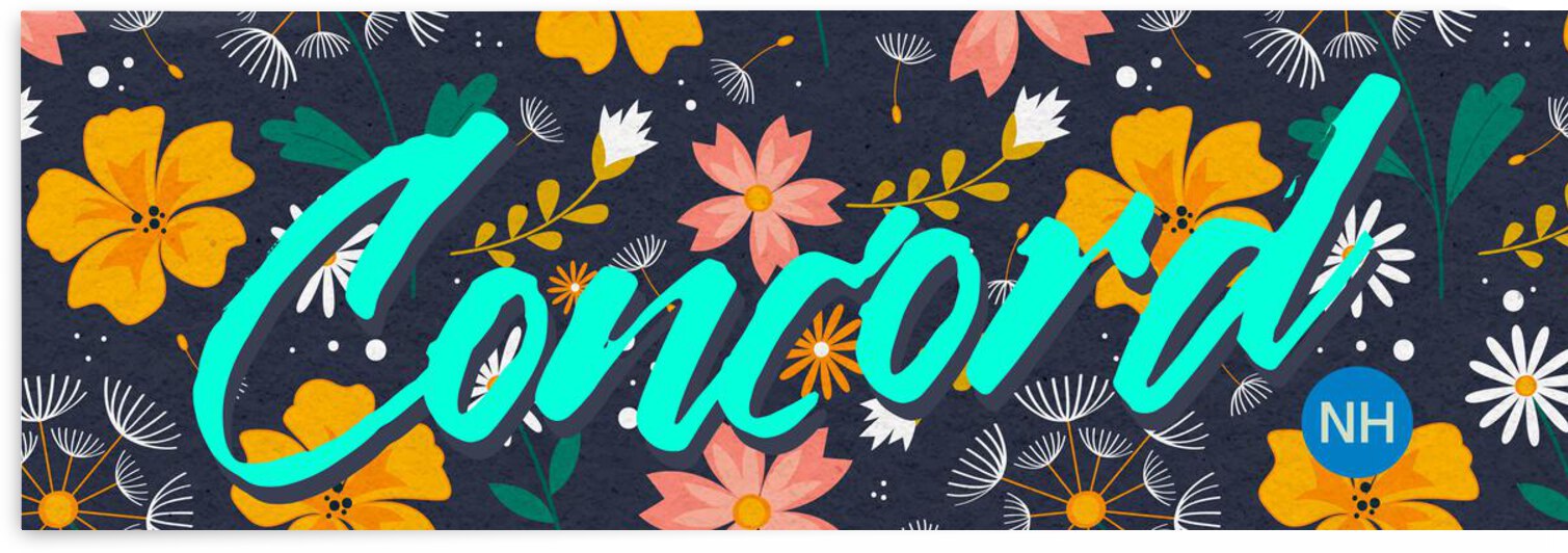 New Hampshire   Concord   Papa  1  by Ava Stochinsky