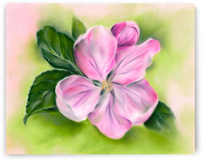 Pink Apple Blossom and Green Leaves by MM Anderson
