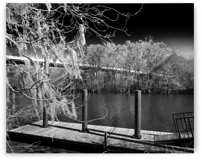 Waccamaw River Memorial Bridge at Conway in Black and White by Bill Swartwout Photography