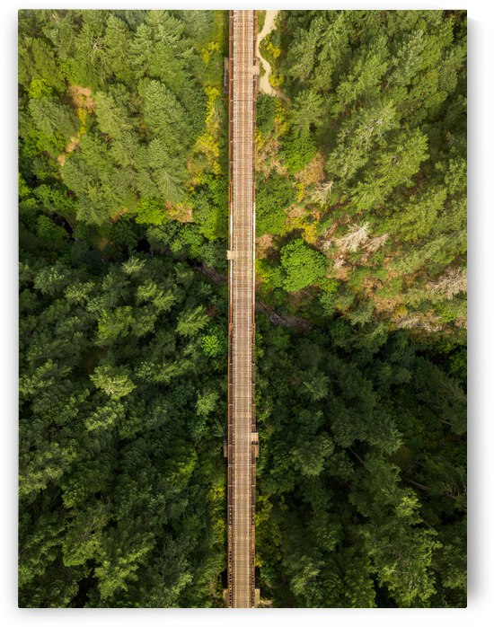 Railway Bridge by Jackson Brown