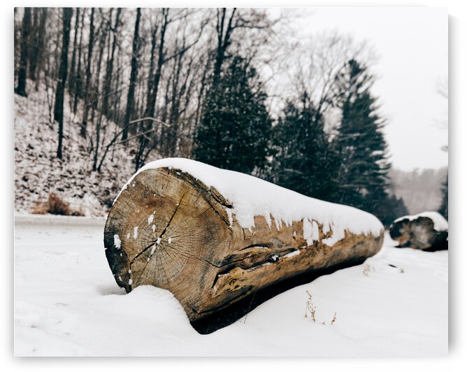 A bridge out of snow by Yahya Hisham