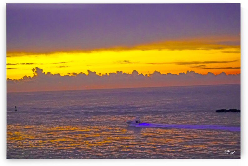 Into the New Day - The Gold & Treasure Coast Collection Limited Edition Rare from Original Oil Painting on Canvas  William Robert Stanek by 360 Studios