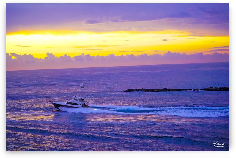 Marlin on My Mind -  The Gold & Treasure Coast Collection Limited Edition Rare from Original Oil Painting on Canvas  William Robert Stanek by 360 Studios