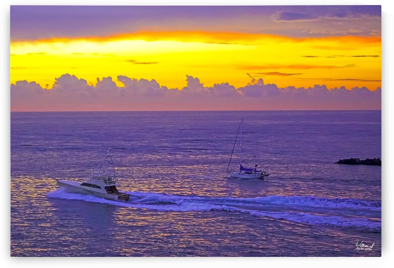 Off the Hook -  The Gold & Treasure Coast Collection Limited Edition Rare from Original Oil Painting on Canvas  - William Robert Stanek by 360 Studios