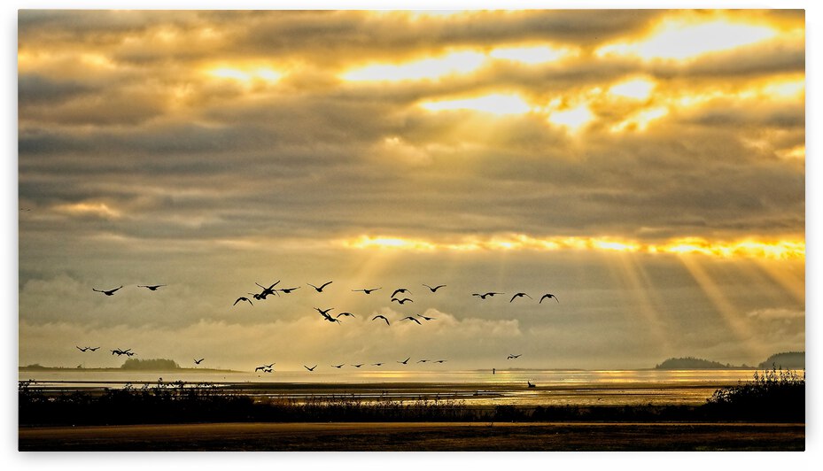Sunrise on the Estuary by CRB Images Photography