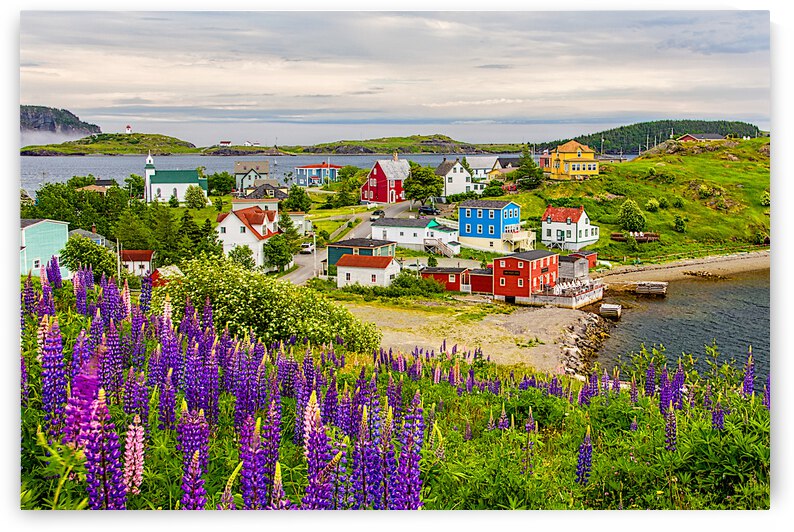 Outport by CRB Images Photography