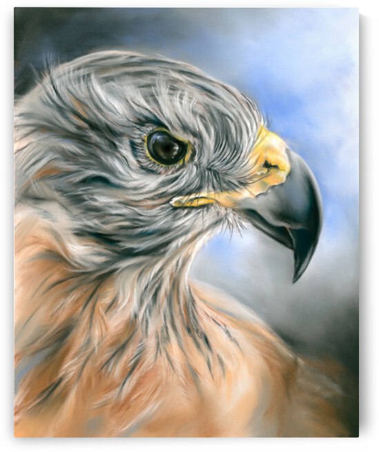 Red Tailed Hawk by MM Anderson