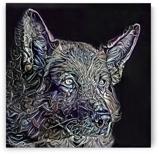 Duke The German Shepherd  by HH Photography of Florida