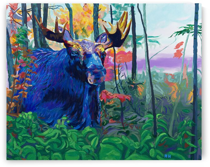 Moose in the Green  by Holly Heath