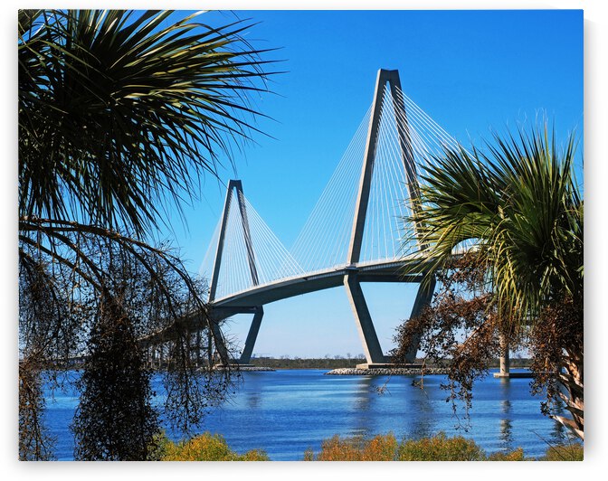 Arthur Ravenel Jr. Bridge in the Palms 088 by Bill Swartwout Photography