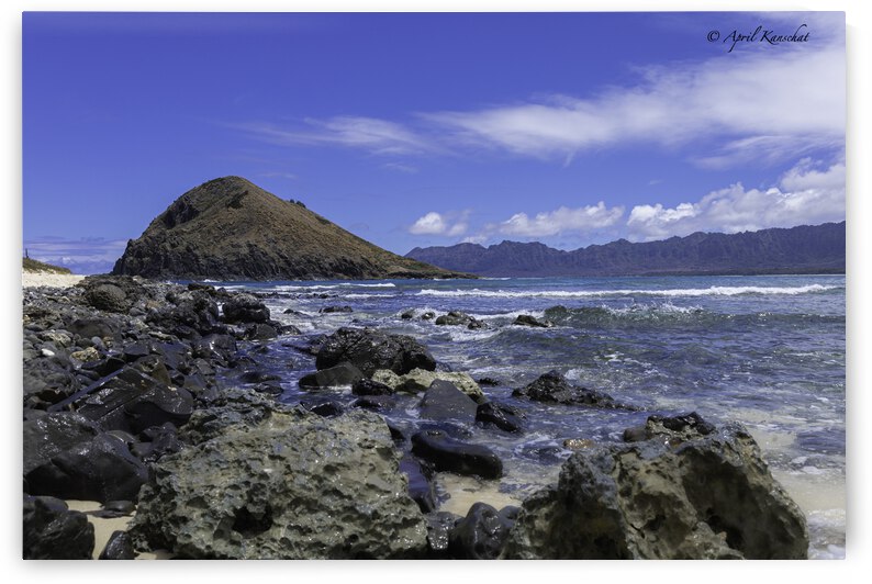 Hawaii Island by April Kanschat