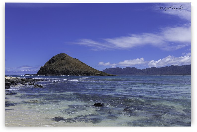 Hawaii Island by April Kanschat