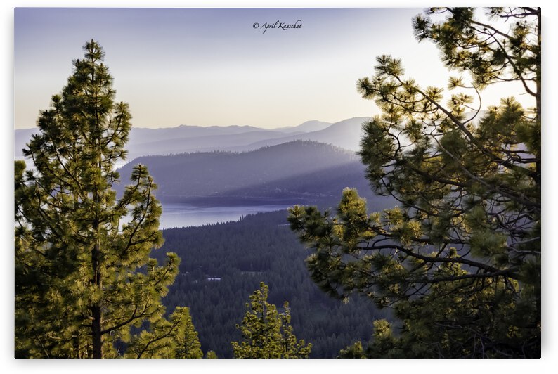 Lake Tahoe Sunrise by April Kanschat