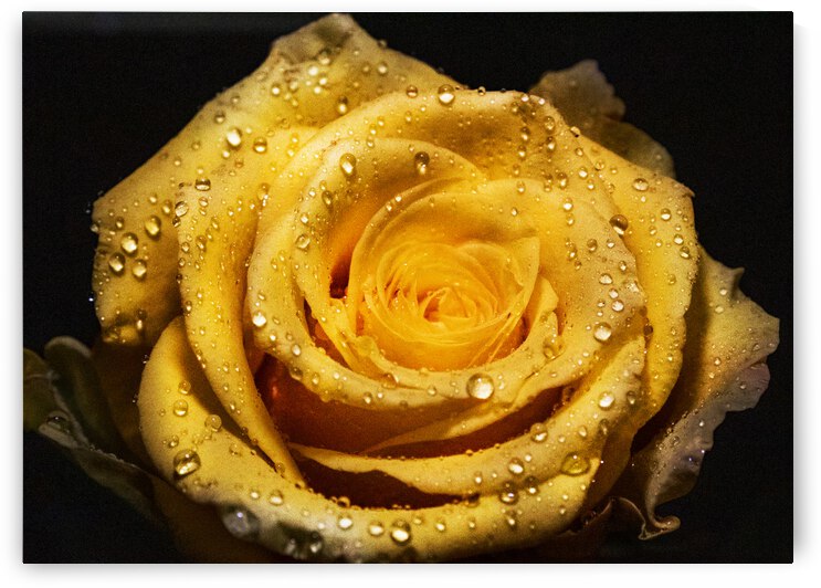 2504 2 by Rachel Ostler