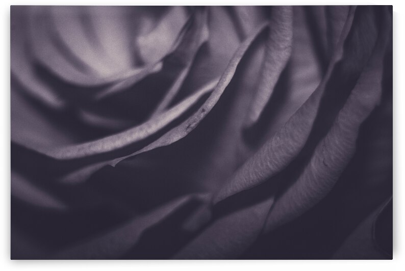 IMG 2820 by Rachel Ostler