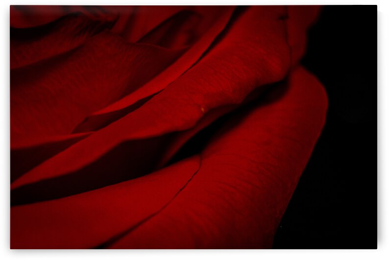 IMG 2799 2 by Rachel Ostler