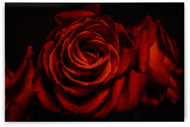 IMG 2871 by Rachel Ostler