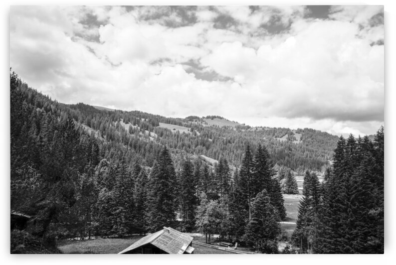 BW Serenity Found in the Alps of Switzerland 1 of 3   HC Stanek   Rare Limited Edition by 360 Studios