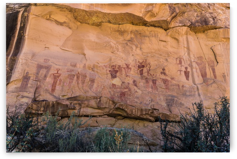 d750m24 105 Sego 2169 by Vernon E Nelson