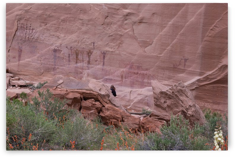 20190518  VEN4828 by Vernon E Nelson