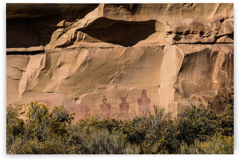 d500 70 200 Sego 5990 by Vernon E Nelson