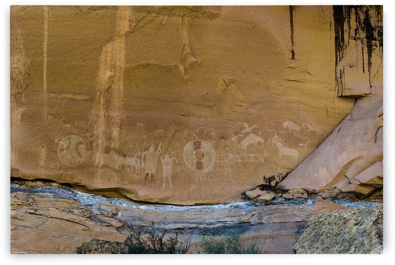 d500 70 200 Sego 5970 by Vernon E Nelson