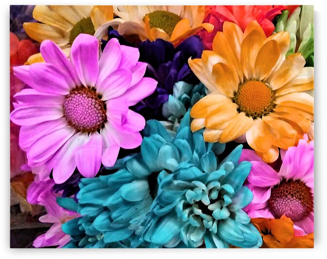 The Colors of Flowers by Andrew Lawrence