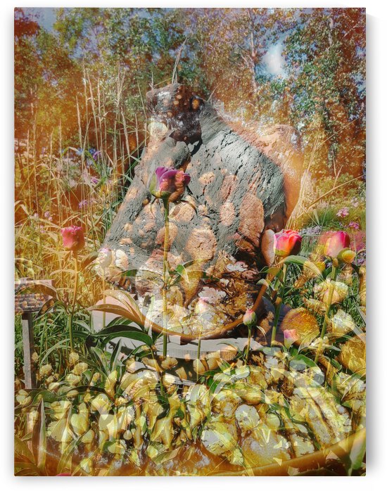 Tendresse tendresse  by Francyne Plante artiste