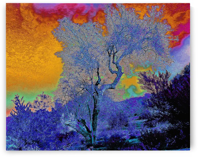 Mod Tree by Andrew Lawrence
