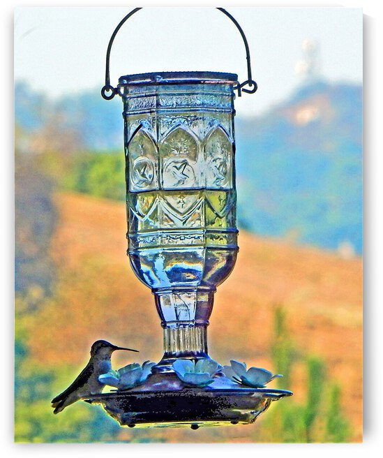 Hummingbird Visit by Andrew Lawrence