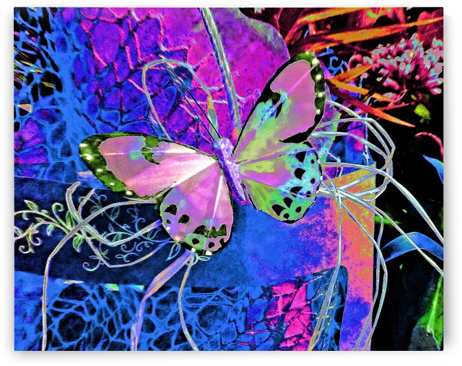 Butterfly Fantasy by Andrew Lawrence